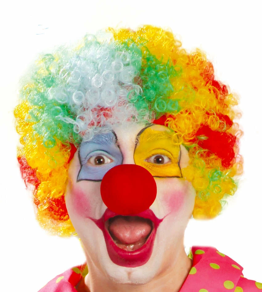 Fiestas Guirca Clown Multicoloured Curly Wig Clown & Circus