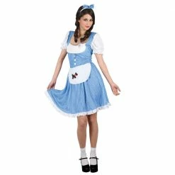 Wicked Country Girl Dorothy Costume Adult Fairytale Costumes
