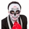 Wicked Day Of The Dead Mask Men's Halloween