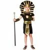 Wicked Egyptian Boy Pharaoh Costume