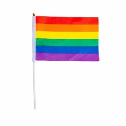 Wicked Large Handheld Rainbow Flag 45x30cm