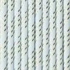 Partydecor Light Blue With Gold Metallic Stripe Paper Straws Party Decorations