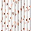 Partydecor Valentines Light Rose Gold Paper Straws Pack Of 10
