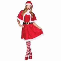 Wicked Christmas Costumes Little Miss Santa Costume Ladies