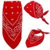 Bristol Western Costumes Red Cowboy Bandana