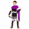 Wicked Boys Roman Warrior Costume Purple Christmas Costumes