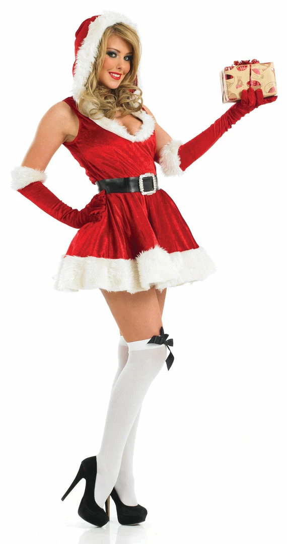 Funshack Christmas Costumes Sexy Lady Santa Costume