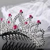 Partydecor Hen Party Tiara With Veil Silver