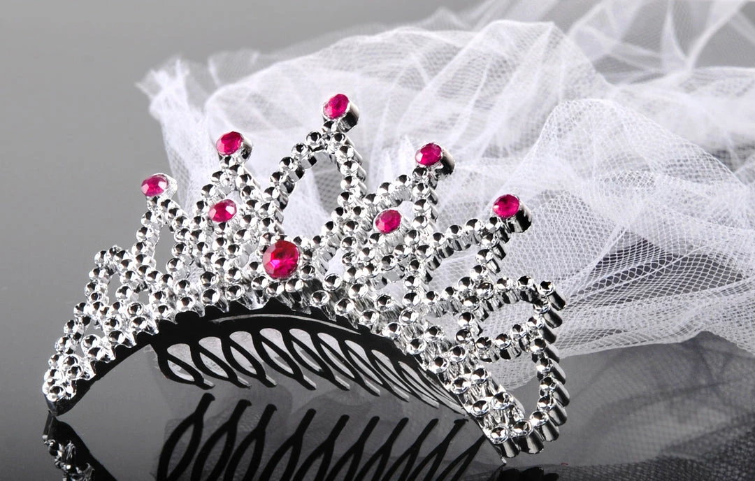 Partydecor Hen Party Tiara With Veil Silver